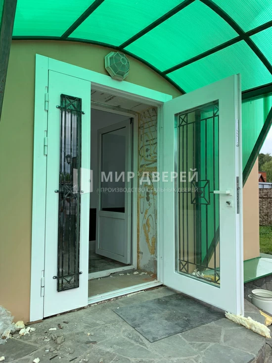 Металлическая дверь с большим окном - фото