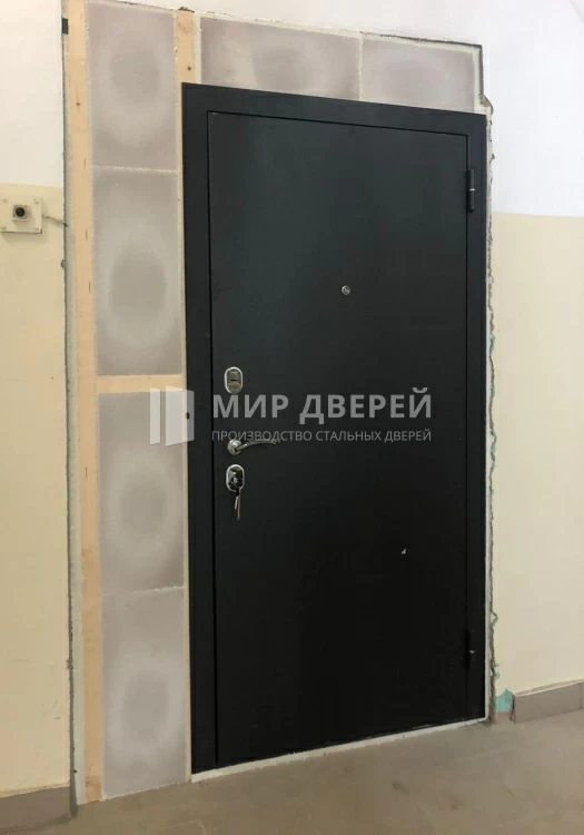 Фото двери № 441