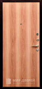 Железная дверь с порошковым напылением №81 внутренняя - фото